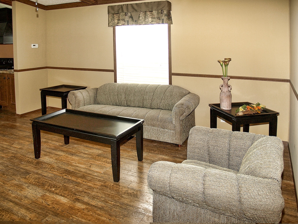 Homes for Sale Three Stone Homes Averett